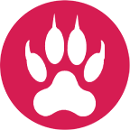 EasyCougAr